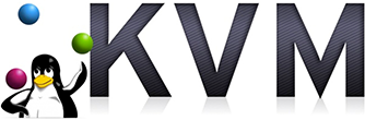 KVM VDS netrider.ua